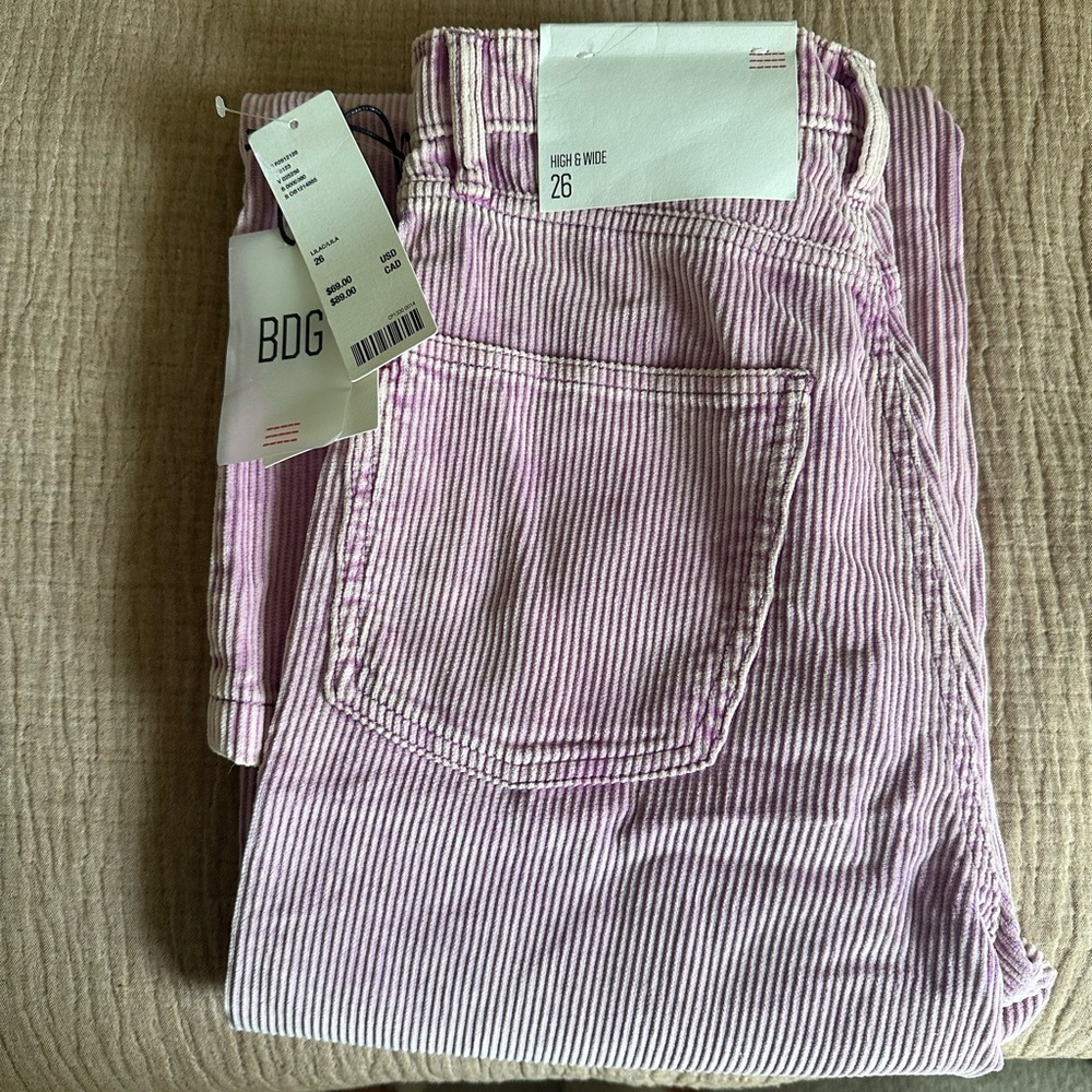 BDG Lavender Striped High-Waist Pants